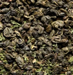Fashion Compagnie & Co Iced Teas - Thé Vert Menthe